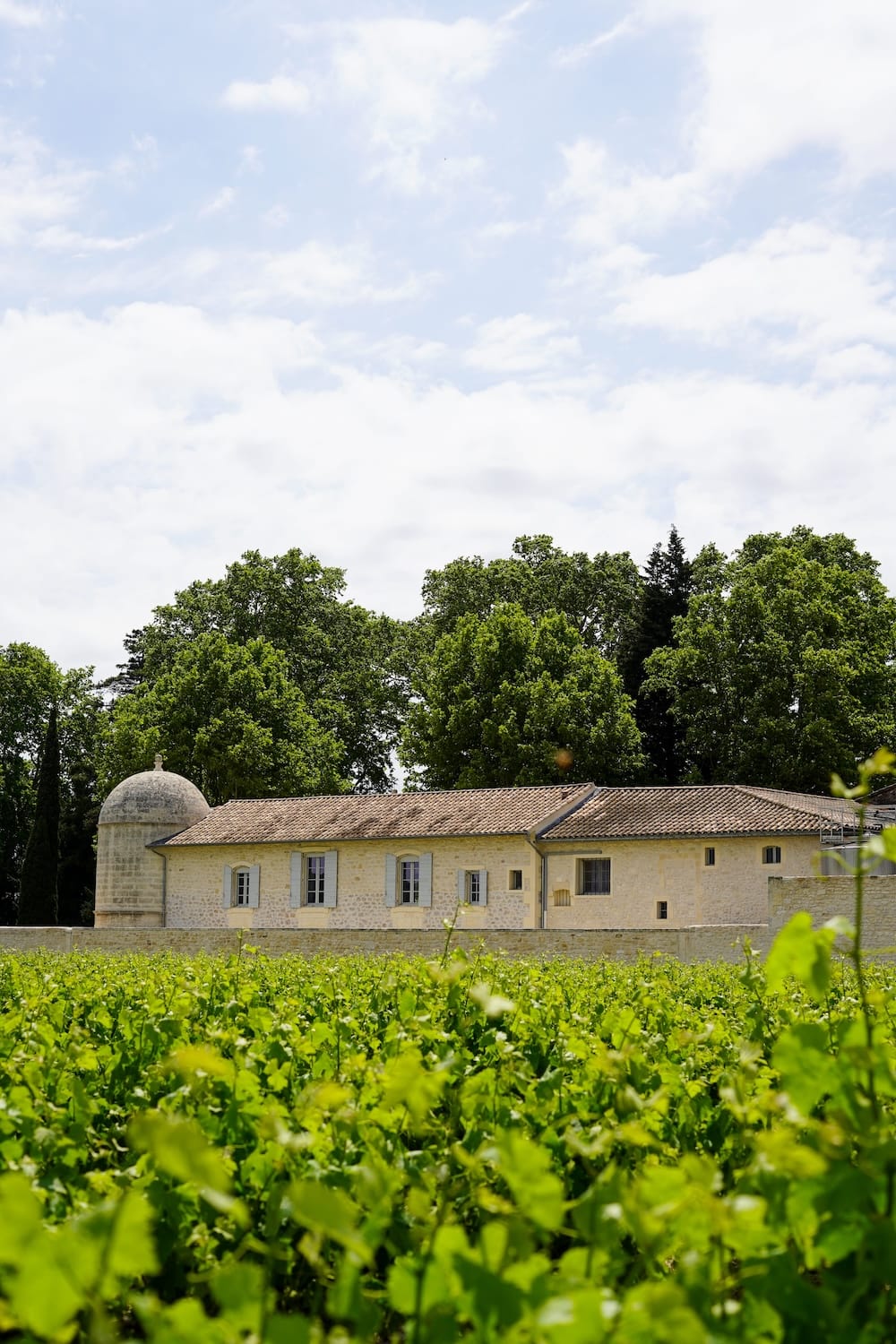 domaine-saint-roch-facade-arriere portrait